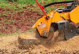 Best Storm Damage Tree Cleanup  in Hooper, NE